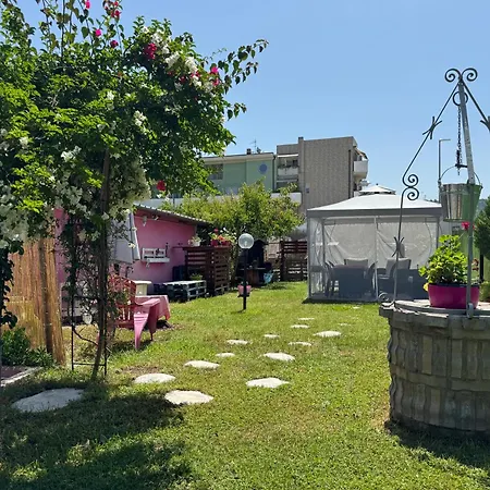 B&B Frontepista-2